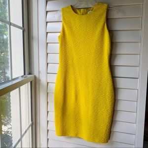 Calvin Klein Bold Yellow Dress
